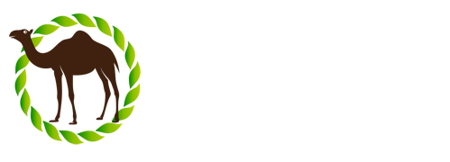 ‌沙特杯 - 英雄联盟、DOTA2等电竞世界杯项目竞猜平台
